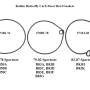 keihin_butterfly_carb_float_bowl_gaskets.jpg