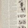 cycle_magazine_xr-750_pic2.jpg