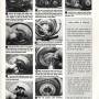 hot_xl_magazine_revtechs_muscle_clutch_page_2.jpg