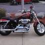 2013_xl1200c_by_shanneba.jpg