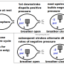 crankcase_pressure_cycle_by_hippysmack.png