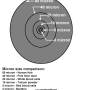 micron_-_comparison_drawing_by_hippysmack.jpg