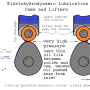sportster_oil_pressure_-_lube_regime_roller_lifter_to_cam_by_hippysmack.png