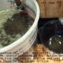 sportster_oil_pressure_-_orifice_.060_-_.030_medium_froth_by_hippysmack.jpg