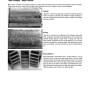 gears..._eaton-understanding-spur-gear-life-pic12.jpg