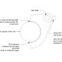 htbs_fork-model_by_dr_dick.jpg