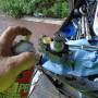 removing_gasket_1_by_hippysmack.jpg